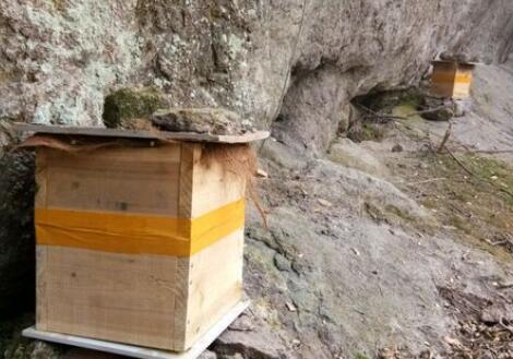 湖北华亚蜂具木业有限公司